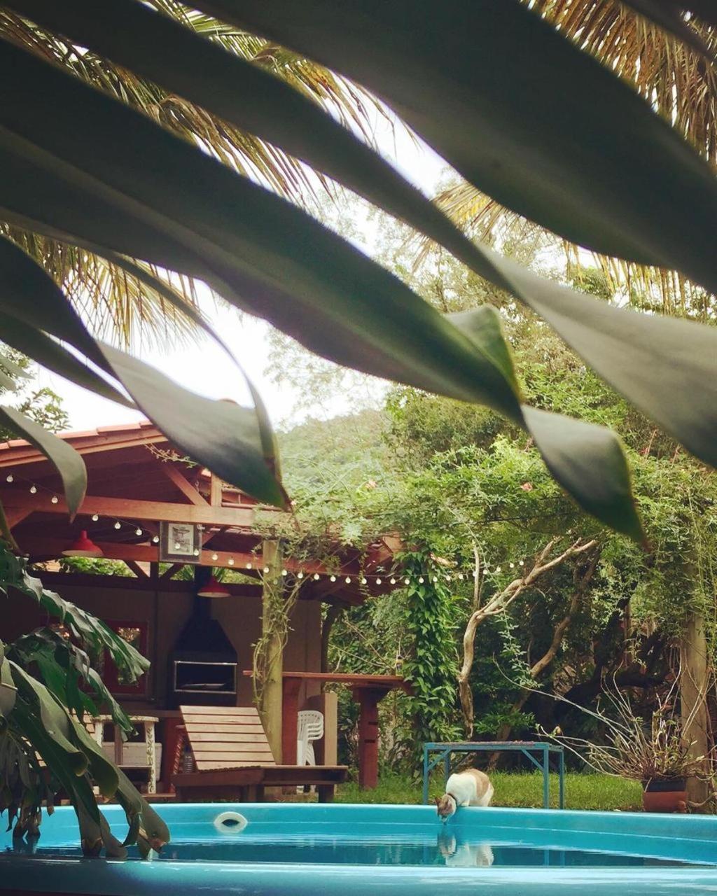 Loft - Paraiso Em Florianopolis! Florianopolis